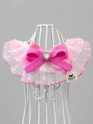 Pink Princess Pet Bib