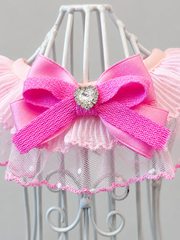 Pink Princess Pet Bib