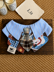 Playful Triangle Pet Bandana