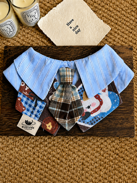 Playful Triangle Pet Bandana