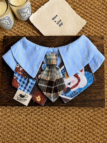 Playful Triangle Pet Bandana